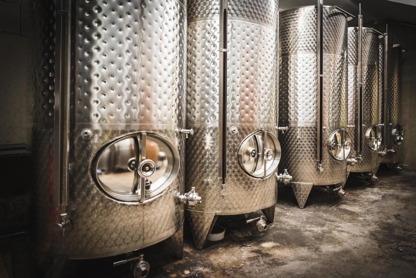 Weingut Gaestehaus D&D Haider Йойс Екстер'єр фото
