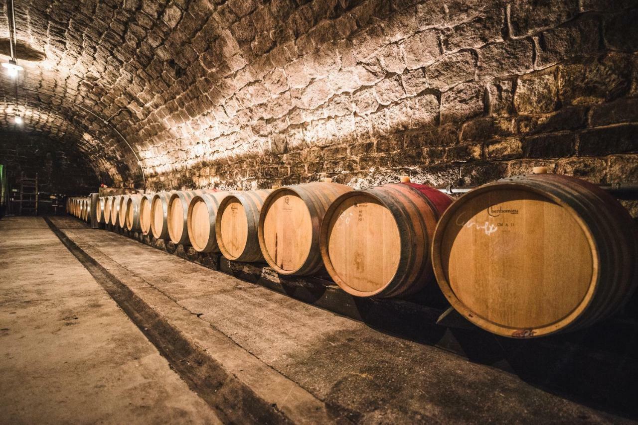 Weingut Gaestehaus D&D Haider Йойс Екстер'єр фото