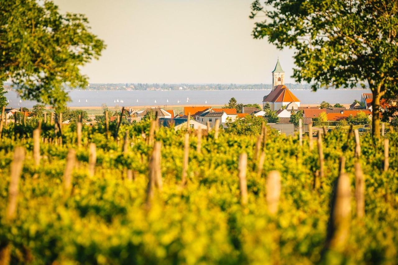 Weingut Gaestehaus D&D Haider Йойс Екстер'єр фото